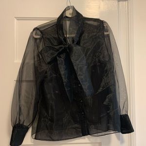 Zara sheer blouse